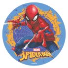 Spiderman tortaostya