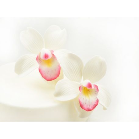 Cukor orchidea 9,5 cm