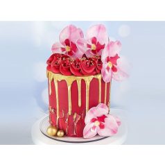 Ostyavirág orchidea rózsaszín 