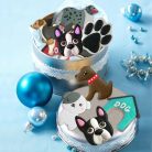 Csont alakú kiszúró