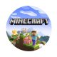 Minecraft tortaostya