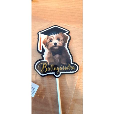 Tortabeszúró Ballagás 10