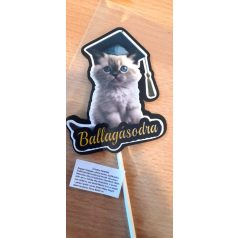 Tortabeszúró Ballagás 11