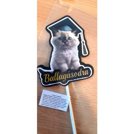 Tortabeszúró Ballagás 11