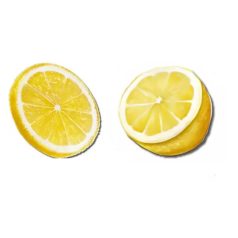 Őszi dekoráció citrom 2.