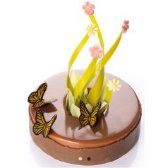 Csokoládé pillangó 6 db/cs