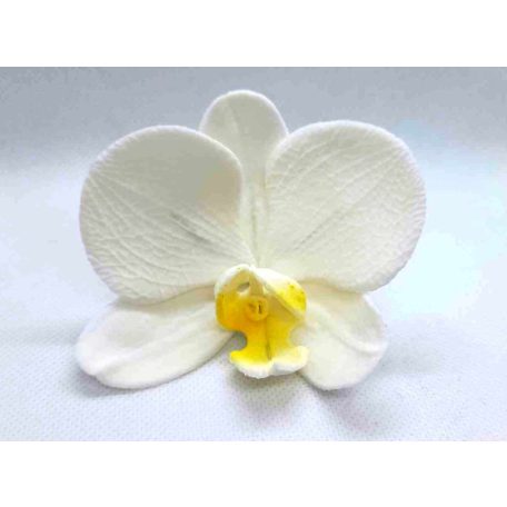 Lepkeorchidea fehér