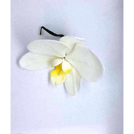 Lepkeorchidea fehér