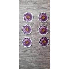 Ostyavirág 6 db lila