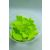Cukorpillangó zöld 10 db/dob