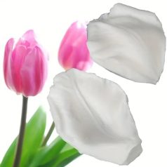 Tulipán szirom szilikon forma